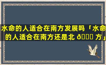 水命的人适合在南方发展吗「水命的人适合在南方还是北 🐕 方」